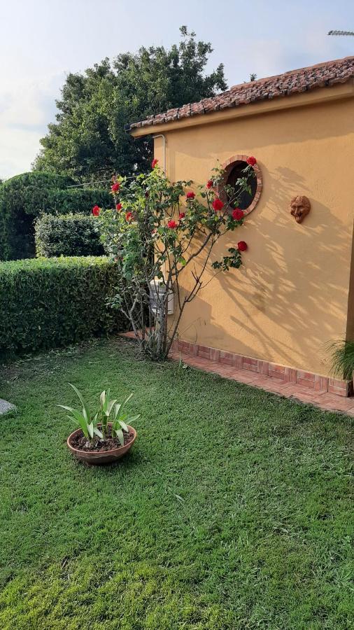 Bed and Breakfast Casale Battaglini Castelnuovo Cilento Zewnętrze zdjęcie
